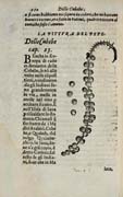 Tavola tratta da: Garcia de Orta, Dell’historia de i semplici aromati … con alcune breui annotationi di Carlo Clusio… Venezia, 1605