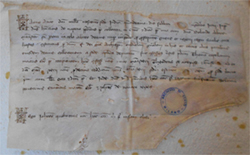 1293, aprile 24, Genova Archivio di Stato di Pisa, Diplomatico, Cappelli(Paganino a Pisa risulta infatti creditore per la vendita di una forma di formaggio)