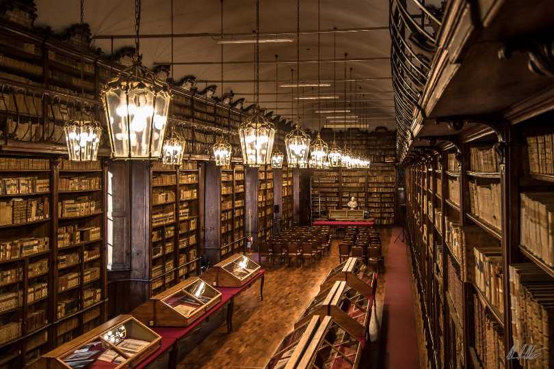 Salone Teresiano della Biblioteca Universitaria di Pavia