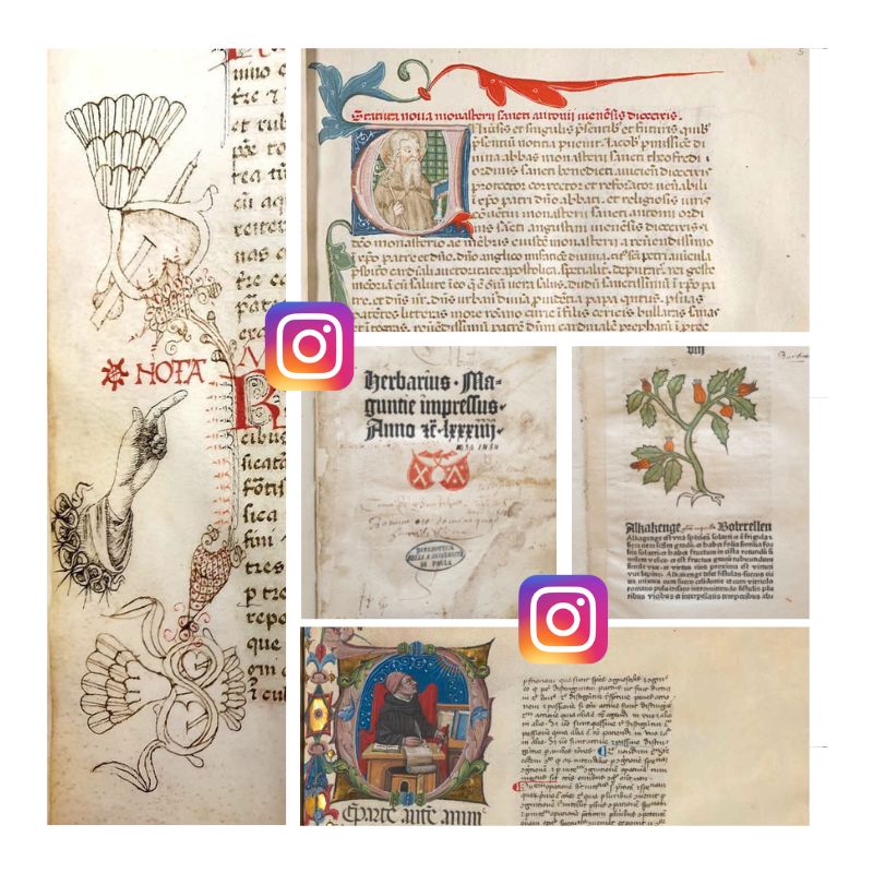 Instagram Biblioteca Universitaria di Pavia