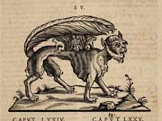 Tavola tratta da: Juan Eusebio Nieremberg, … accedunt de miris et miraculosis naturis in Europâ libri duo: item de iisdem in terrâ Hebraeis promissâ liber vnus. Anversa, 1635