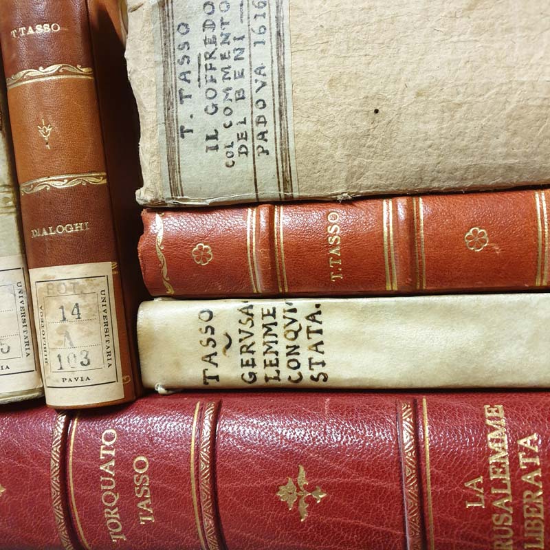 Libri del fondo tassiano di Antonio Terzi