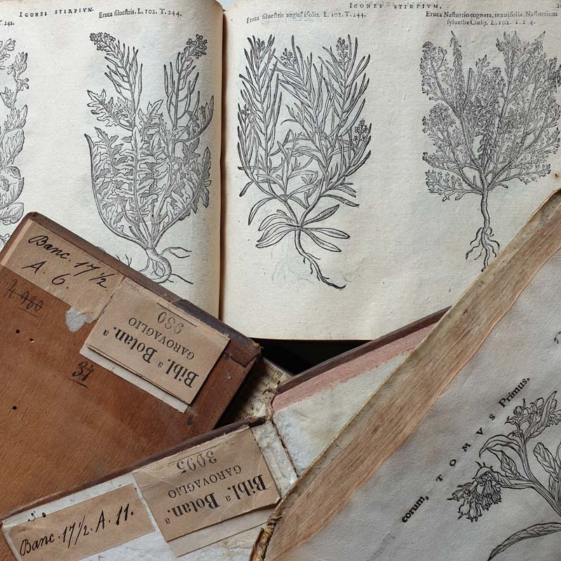 Libri del lascito Santo Garovaglio
