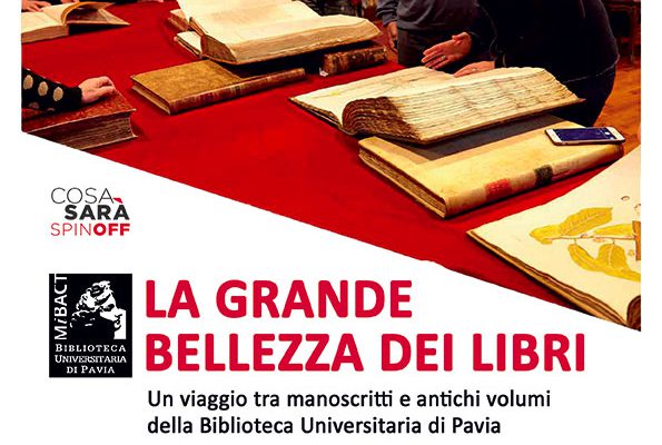 locandina La grande bellezza dei libri